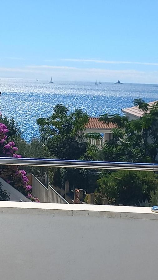 Apartments Milicevic ロゴズニッツァ エクステリア 写真